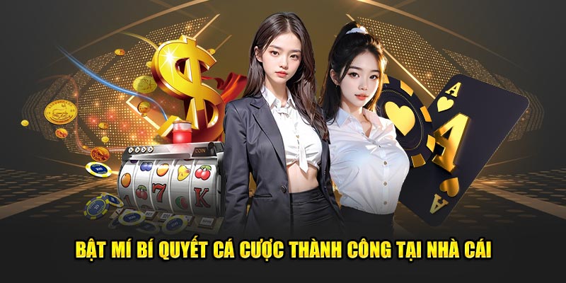 Bat-mi-bi-quyet-ca-cuoc-thanh-cong-tai-nha-cai